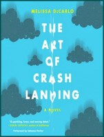 Art of Crash Landing